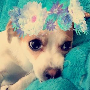 Meet your Posher, Kaylin